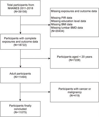 BMI, socioeconomic status, and bone mineral density in U.S. adults: Mediation analysis in the NHANES